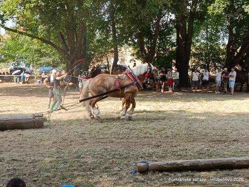 IMG_20260801_154356